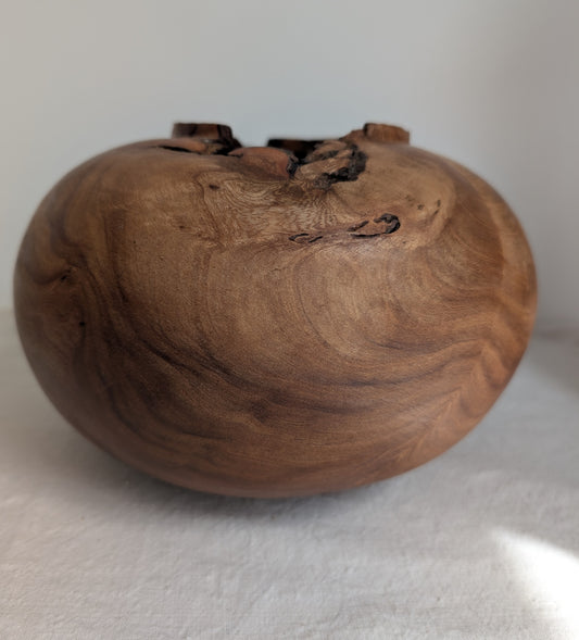 Figured Elm Moon Jar