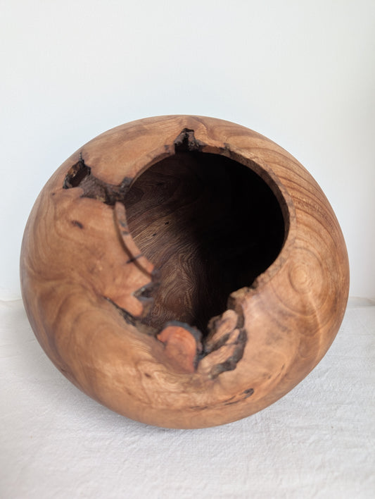 Figured Elm Moon Jar