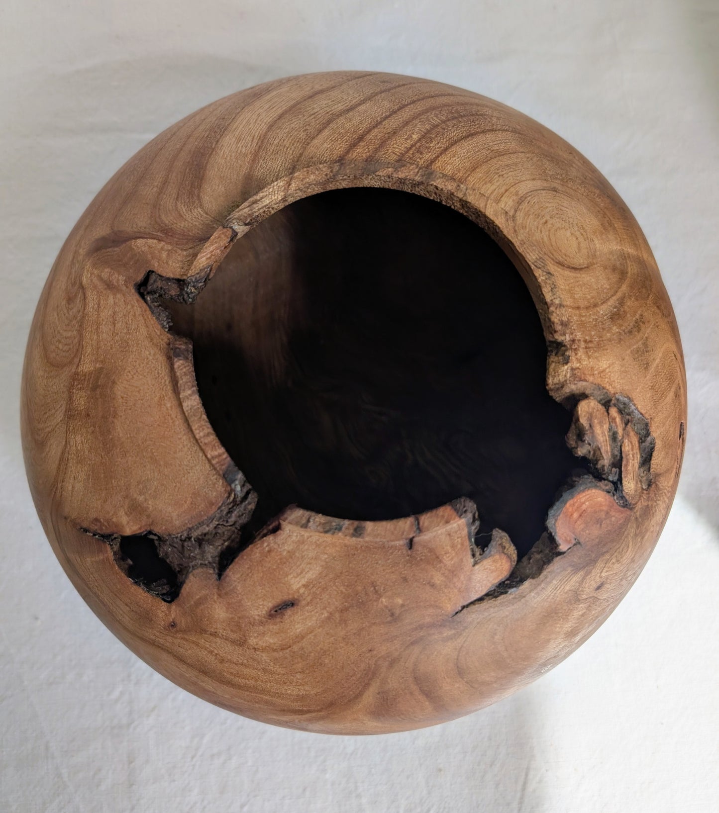 Figured Elm Moon Jar