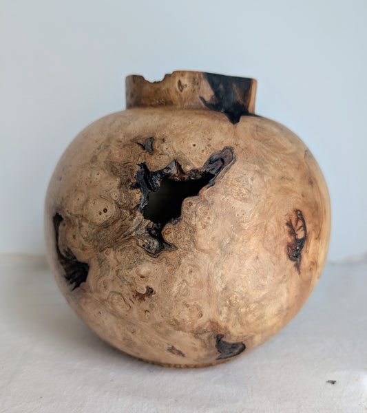 Spalted Burr Field Maple Moon Jar