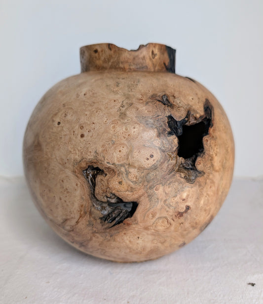 Spalted Burr Field Maple Moon Jar