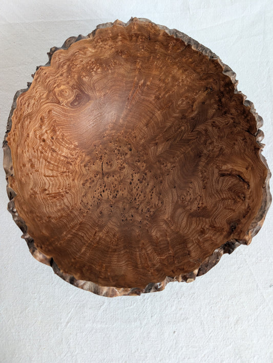 Elm Burr Bowl - large