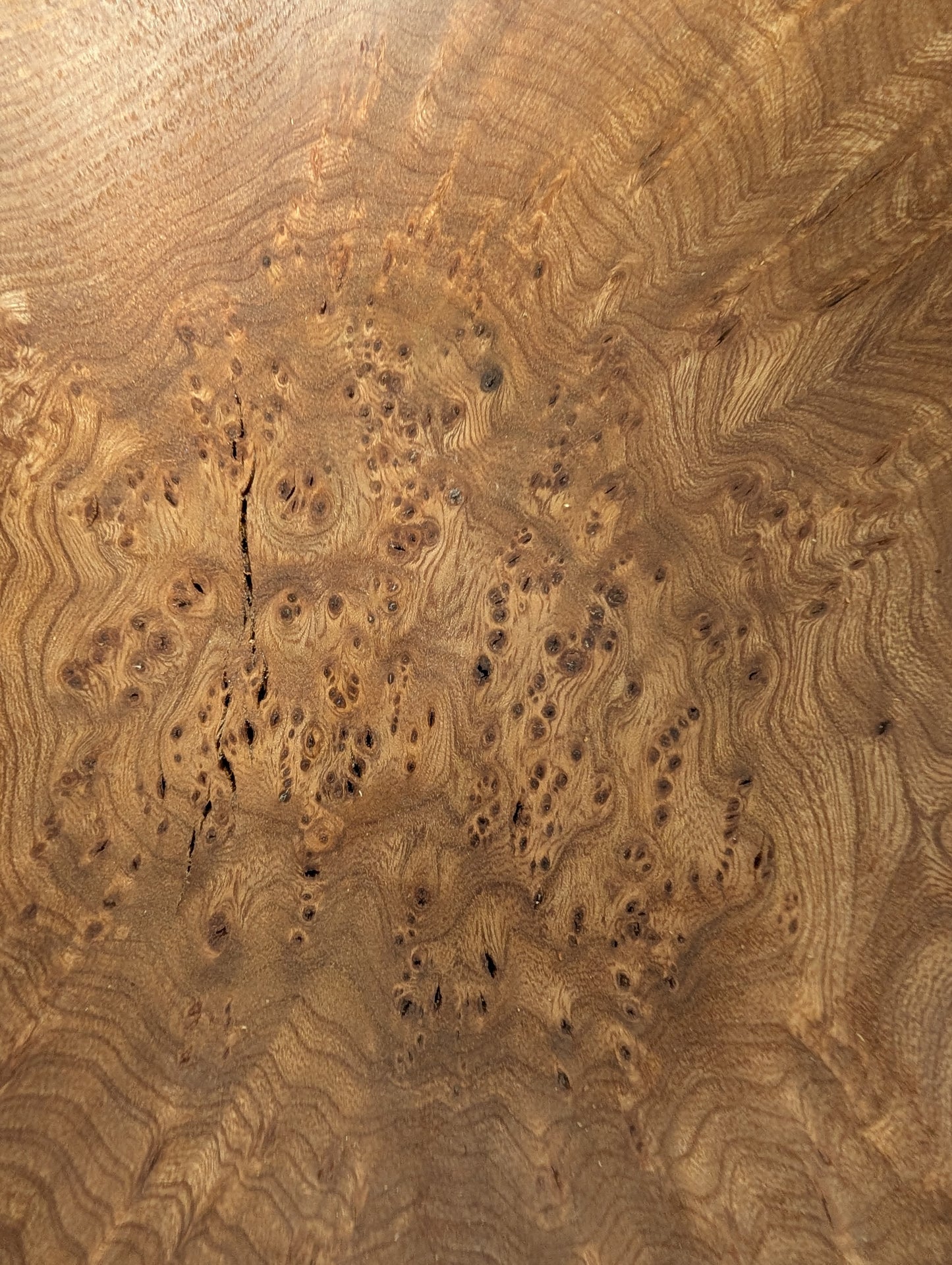 Elm Burr Bowl - large