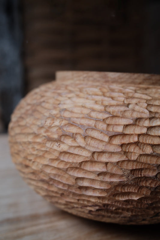 Tooth and Chisel: An Exploration in Wood at Knepp