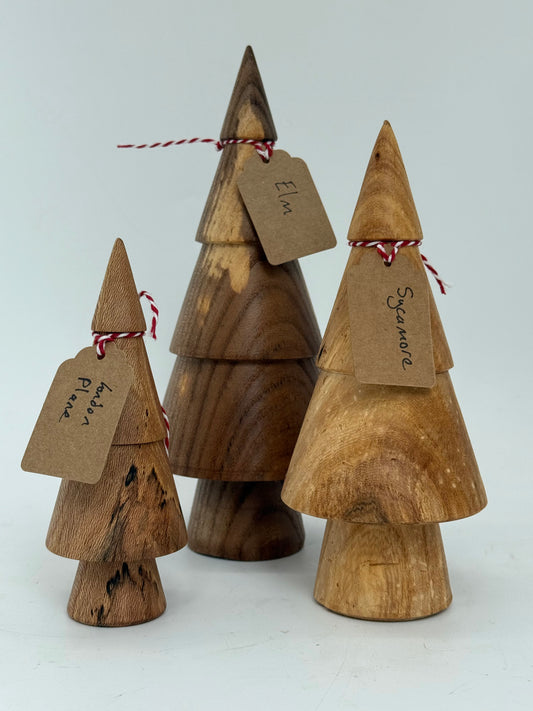 Christmas Tree Box B - Elm, London Plane, Sycamore