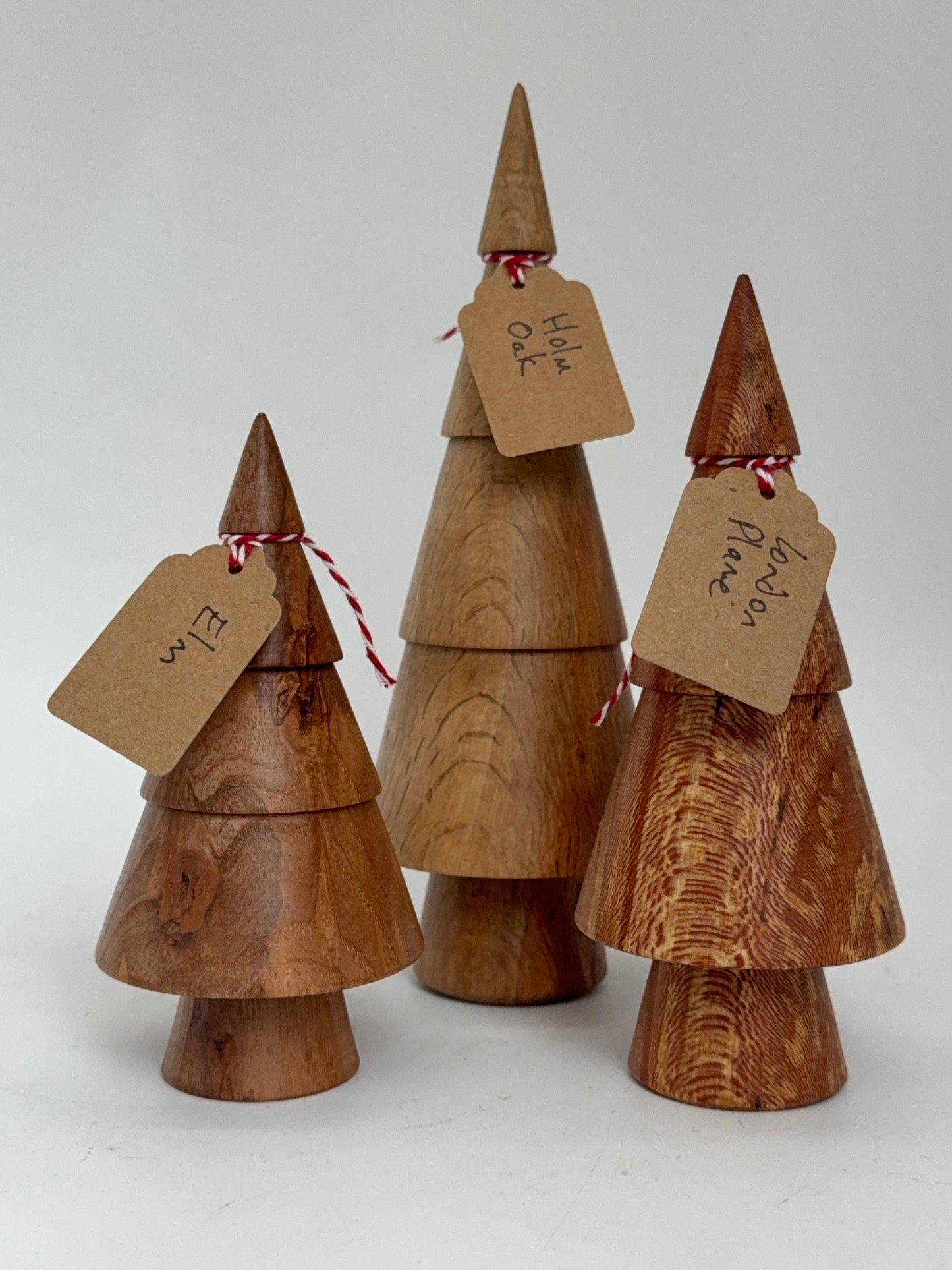 Christmas Tree Box F - Elm, Holm Oak, London Plane