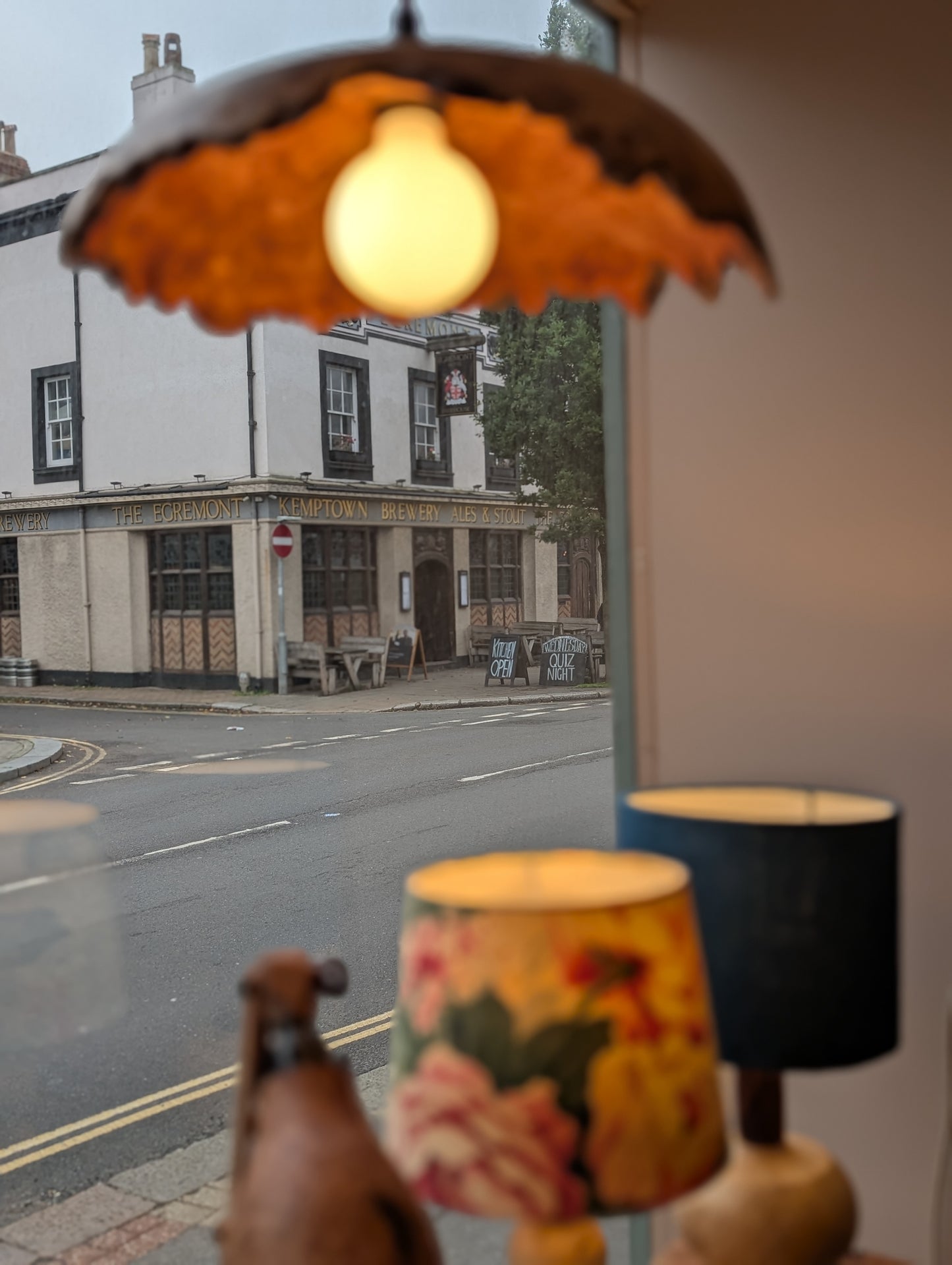 Live Edge Wooden Pendant Light