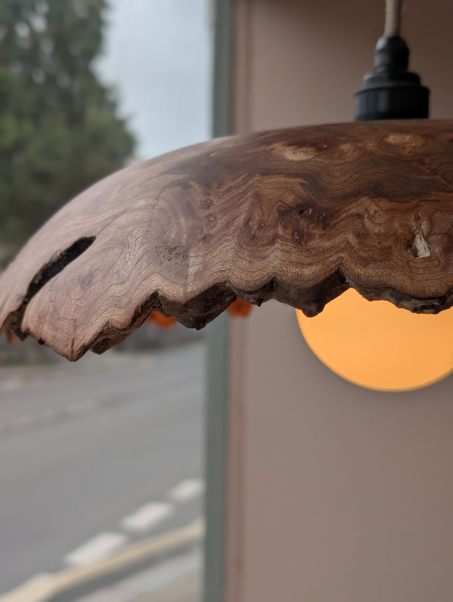 Live Edge Wooden Pendant Light