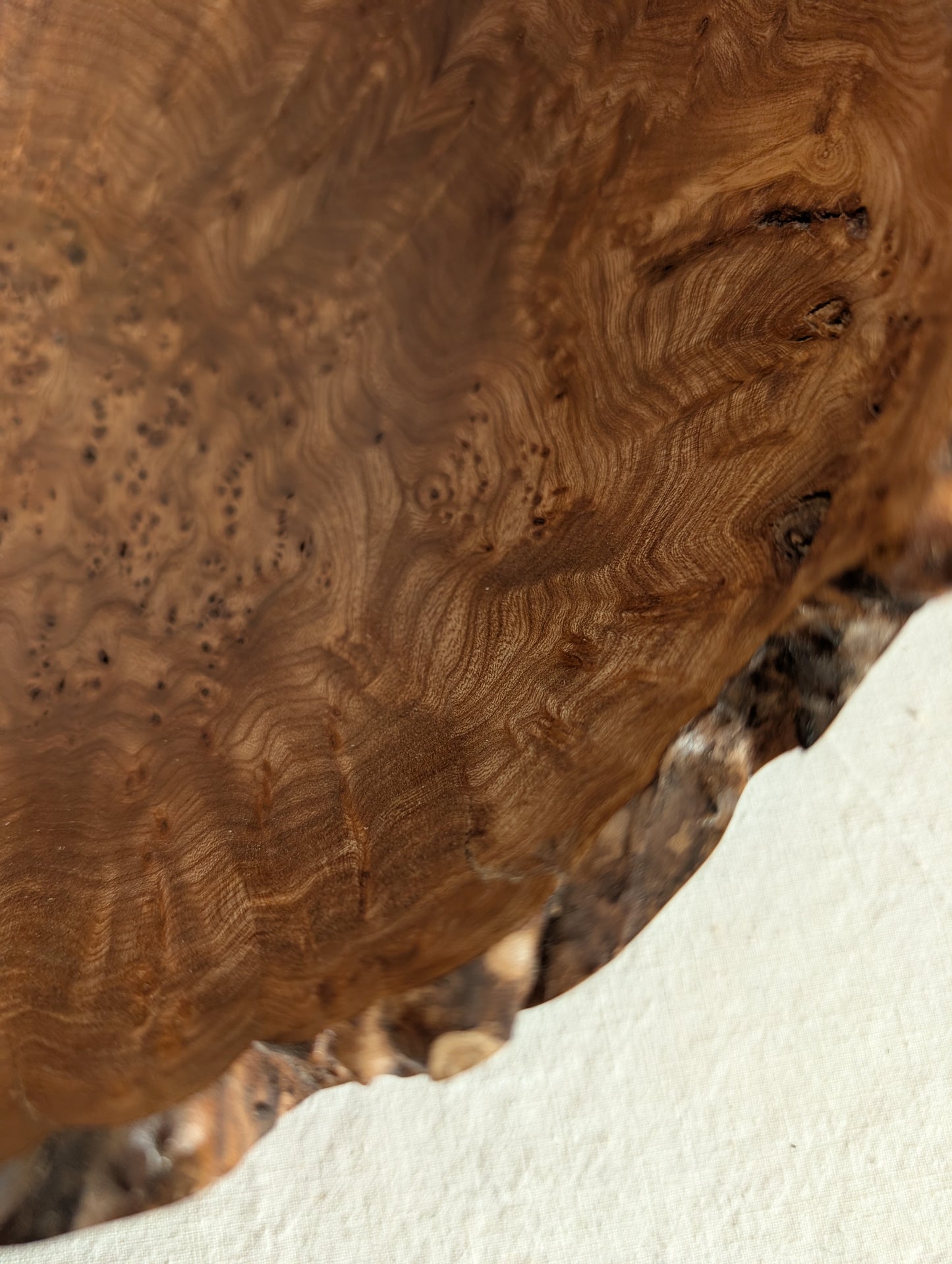 Elm Burr Bowl - large