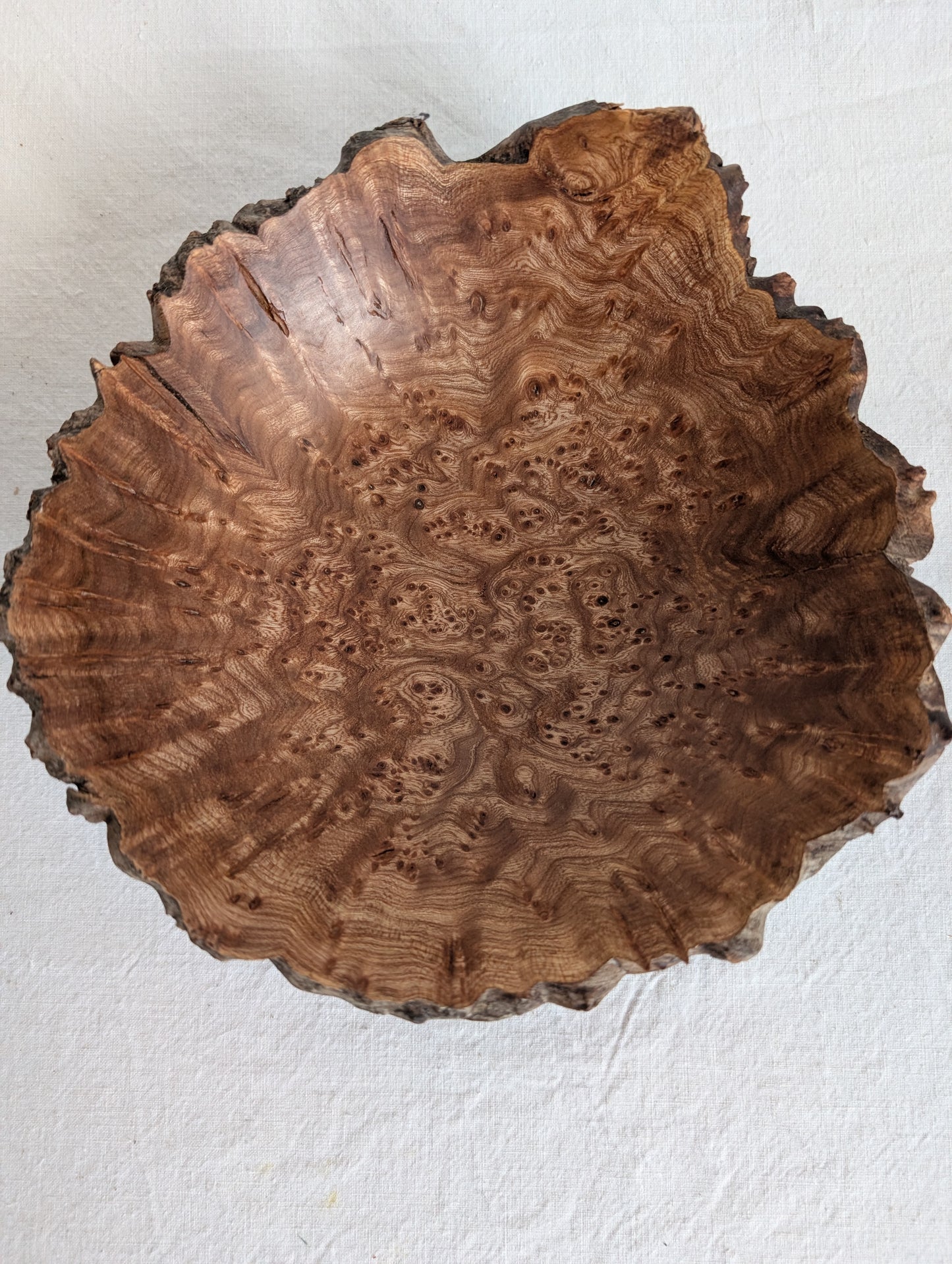 Elm Burr Bowl - small