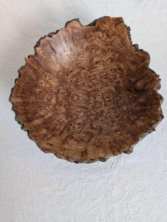 Elm Burr Bowl - small