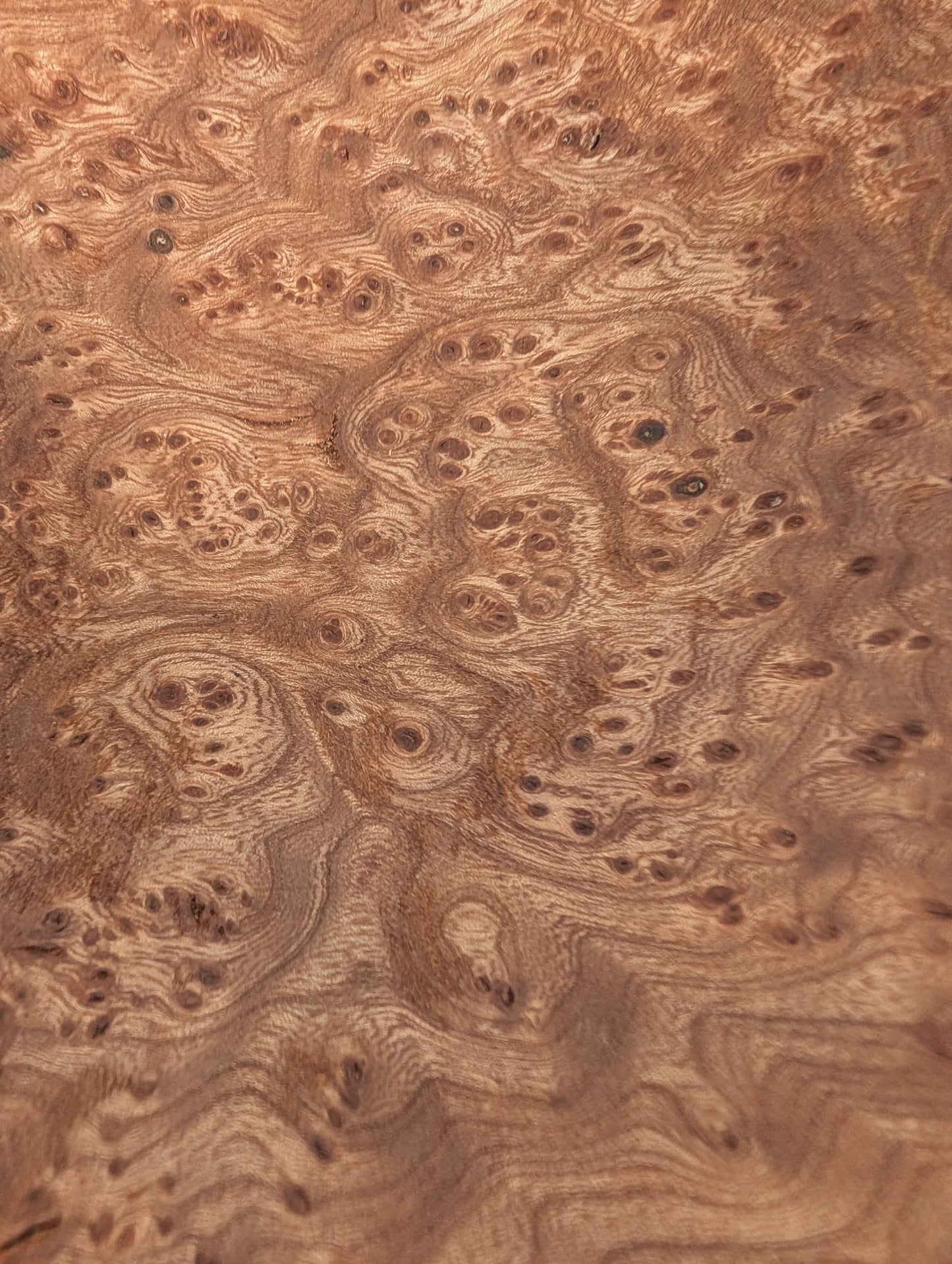 Elm Burr Bowl - small