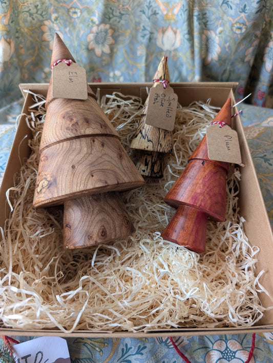 Christmas Tree Box K - Elm, Spalted Olive Ash, London Plane